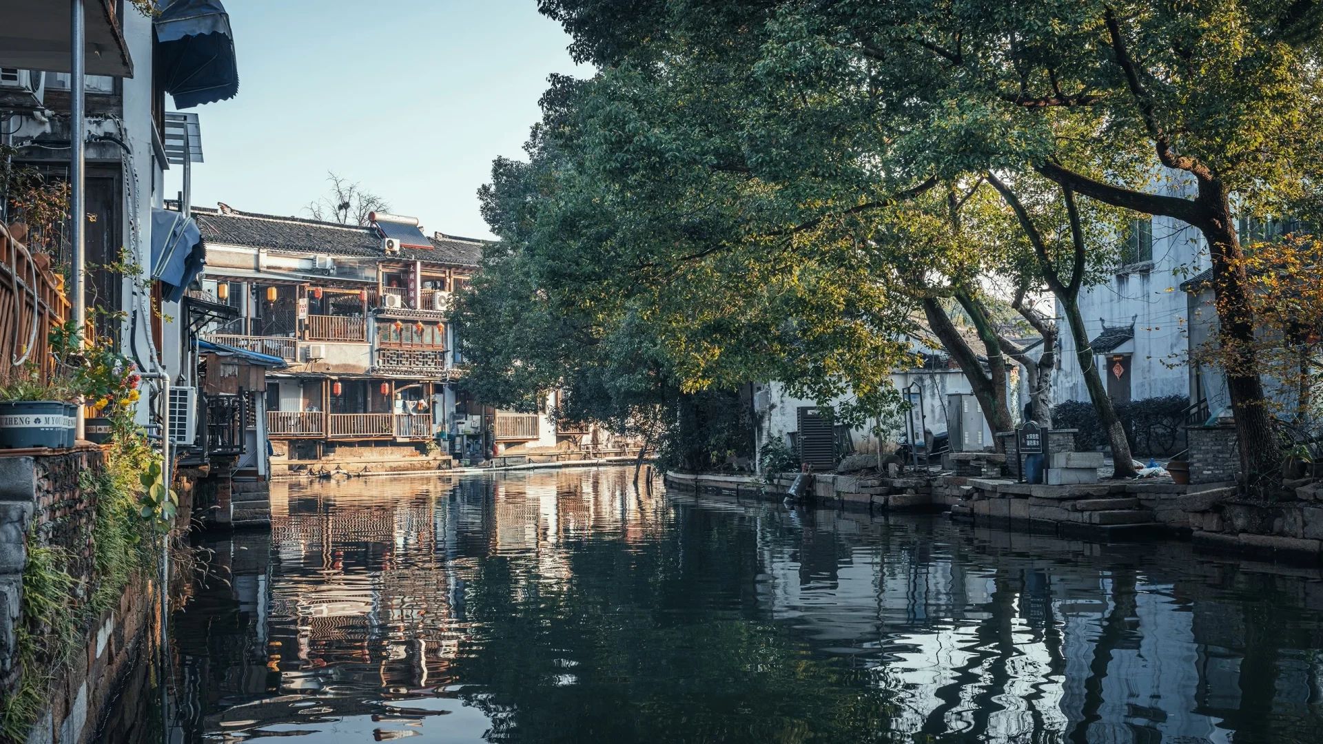 Tongli in the morning. You are back in Shanghai that night.