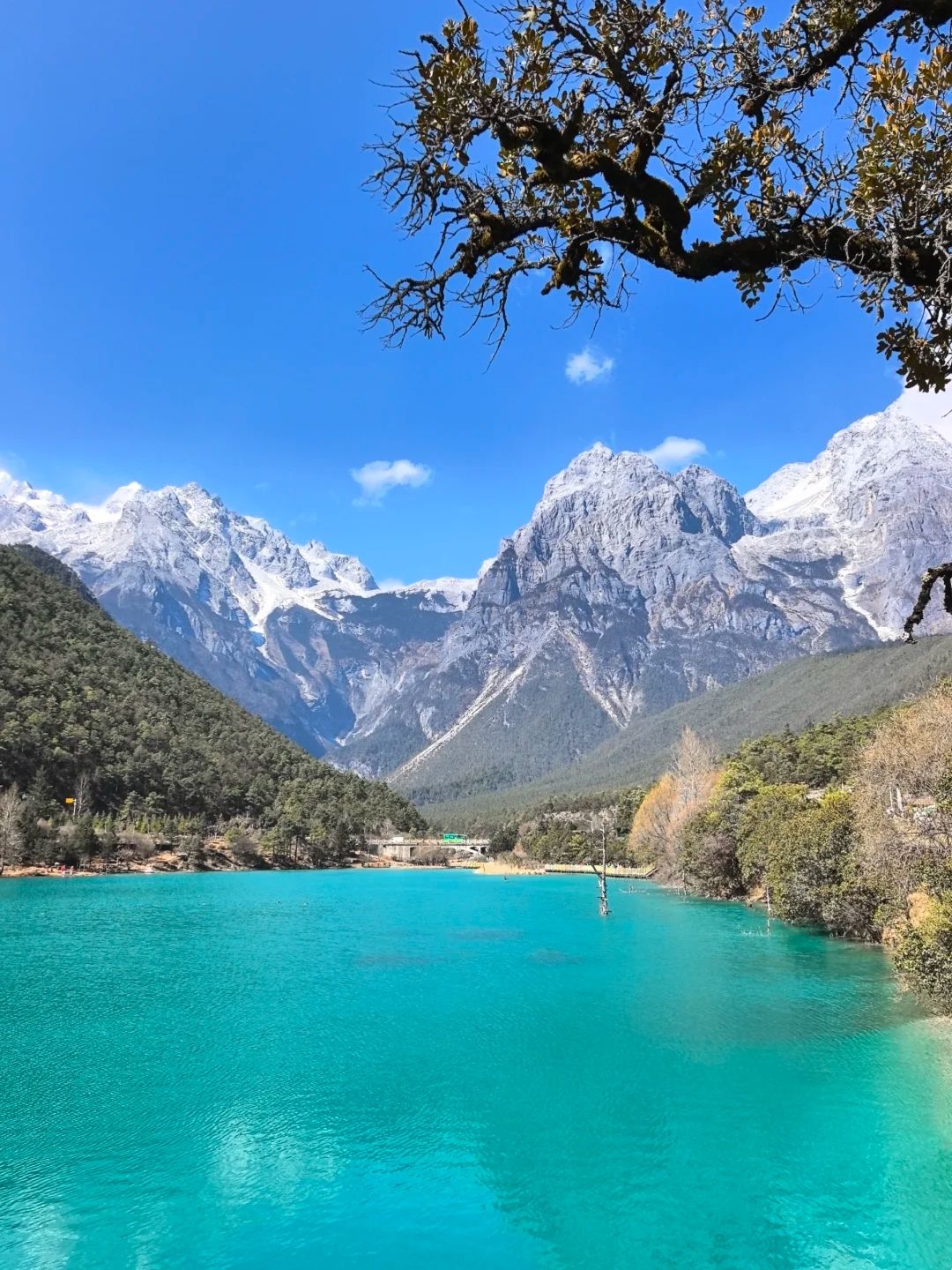 Jade Dragon Snow Mountain