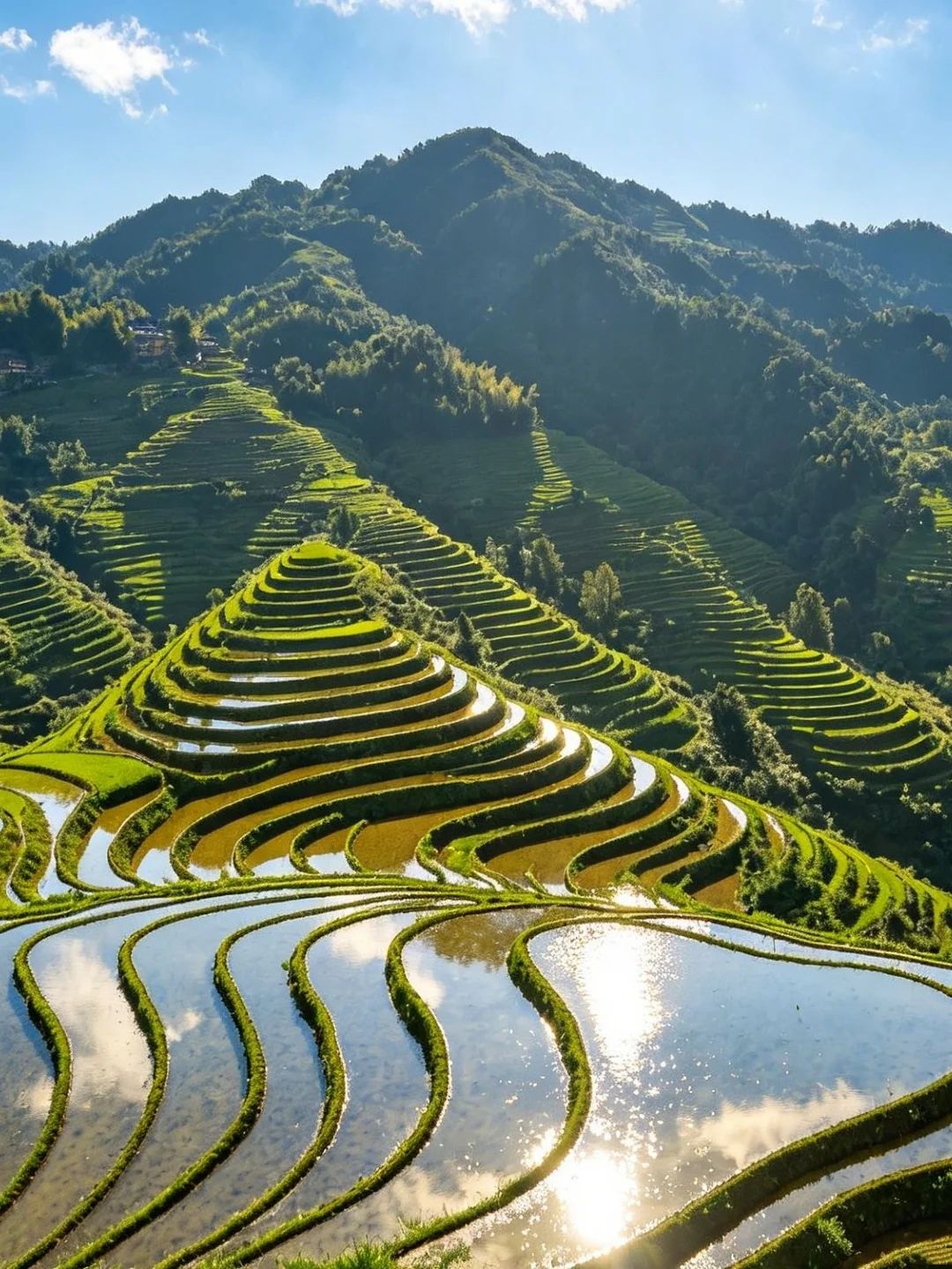 Yuanyang rice terraces