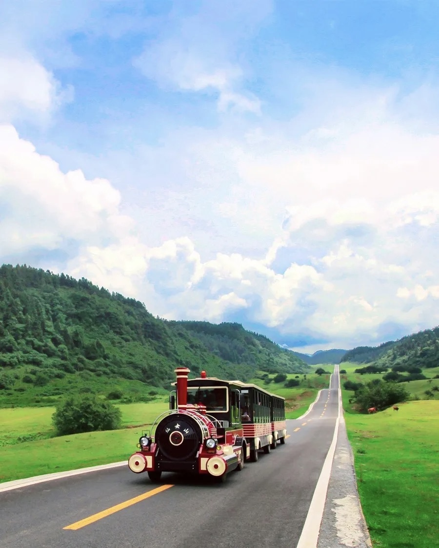 4-Day Chongqing & Wulong Classic Tour