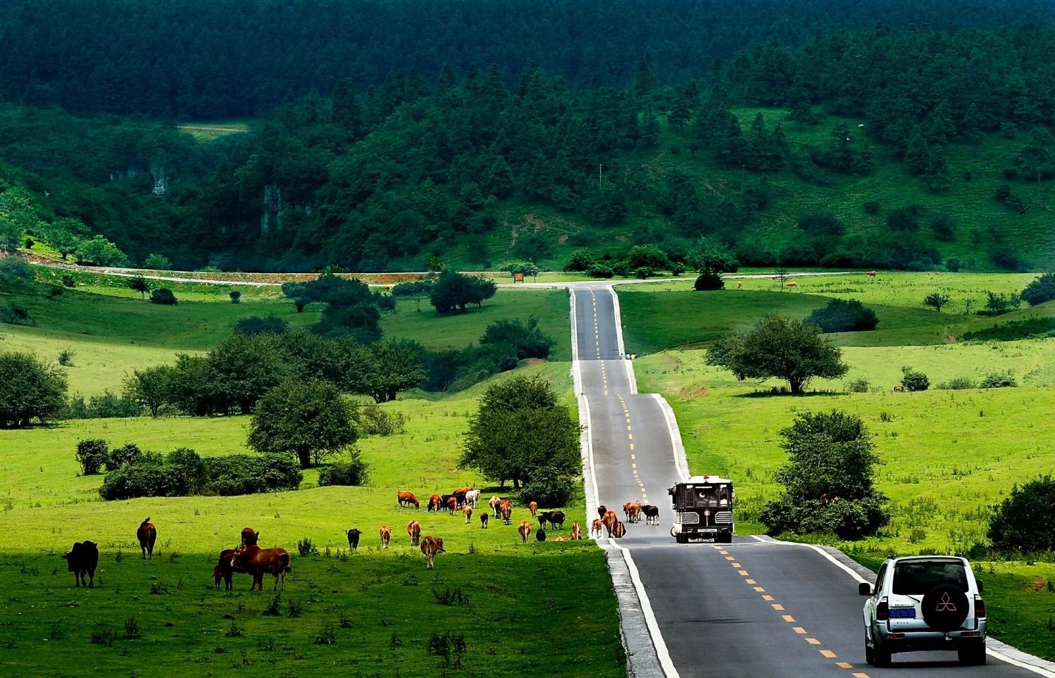 9-Day China Tour: Beijing, Chongqing, Wulong & Shanghai