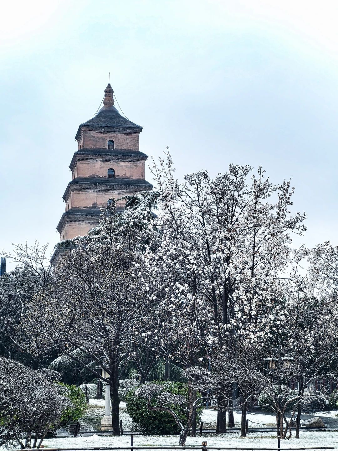 Big Wild Goose Pagoda