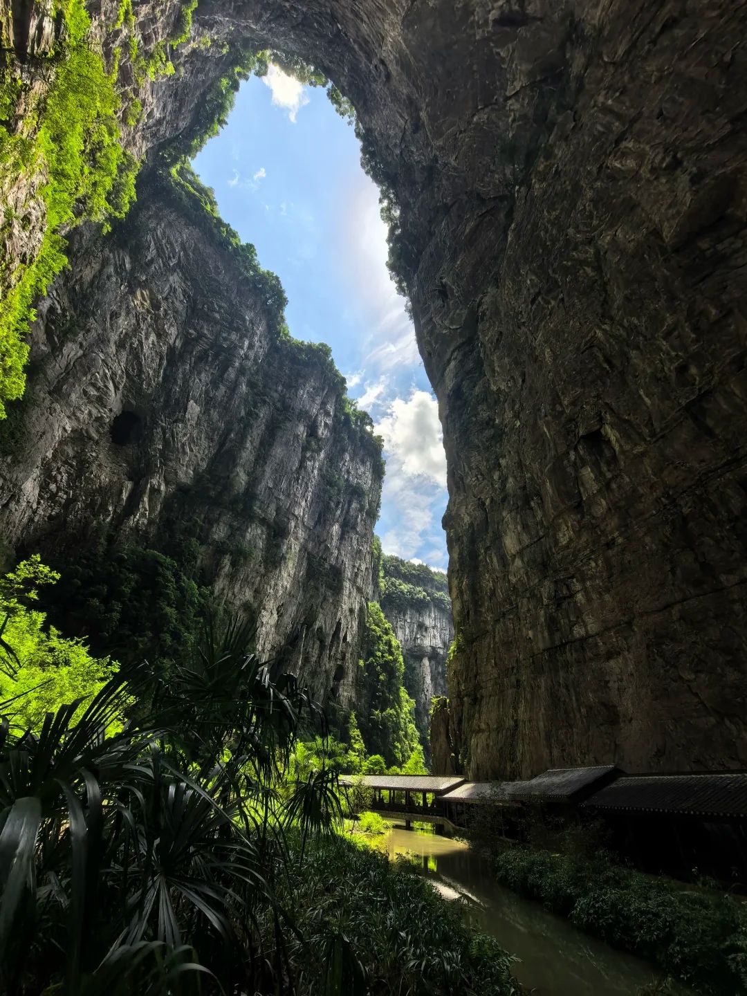 Three Natural Bridges