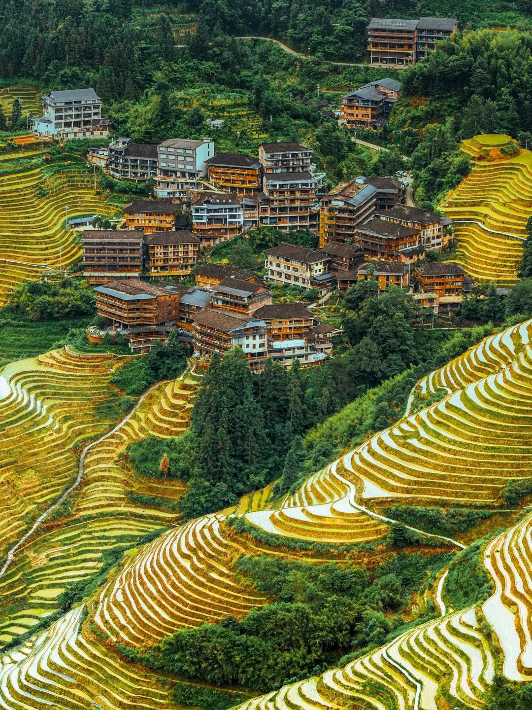 Longji Rice Terraces