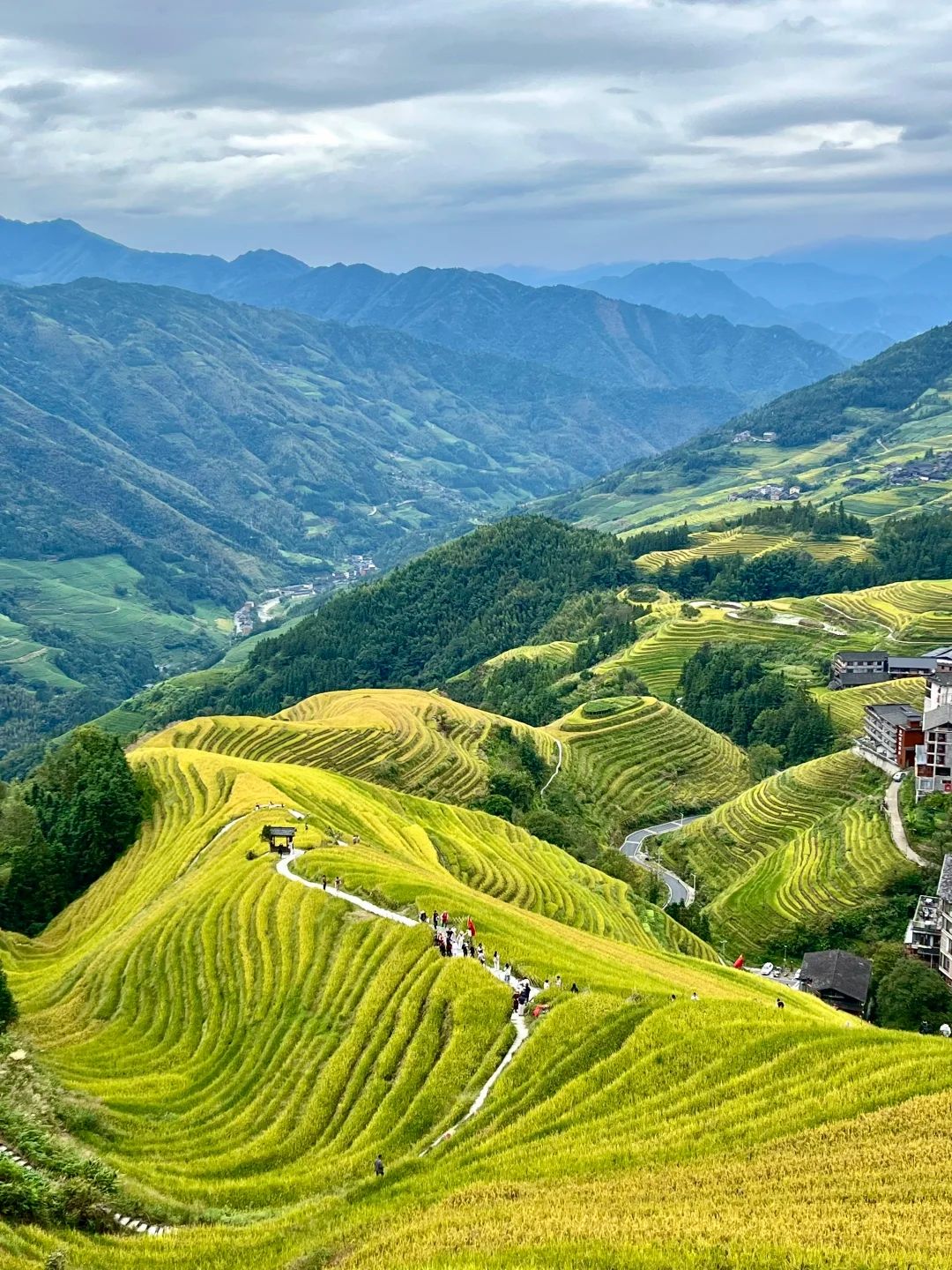 Longji rice terraces