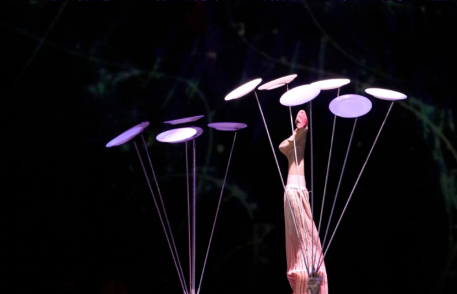 Spectacular Chinese Acrobatics Show