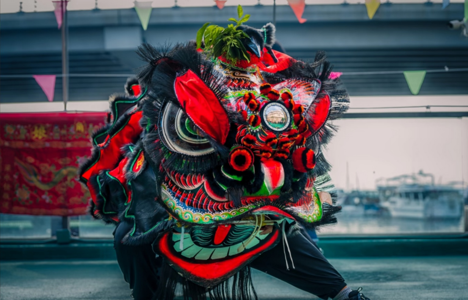 Traditional Lion Dance & Cultural Festivals