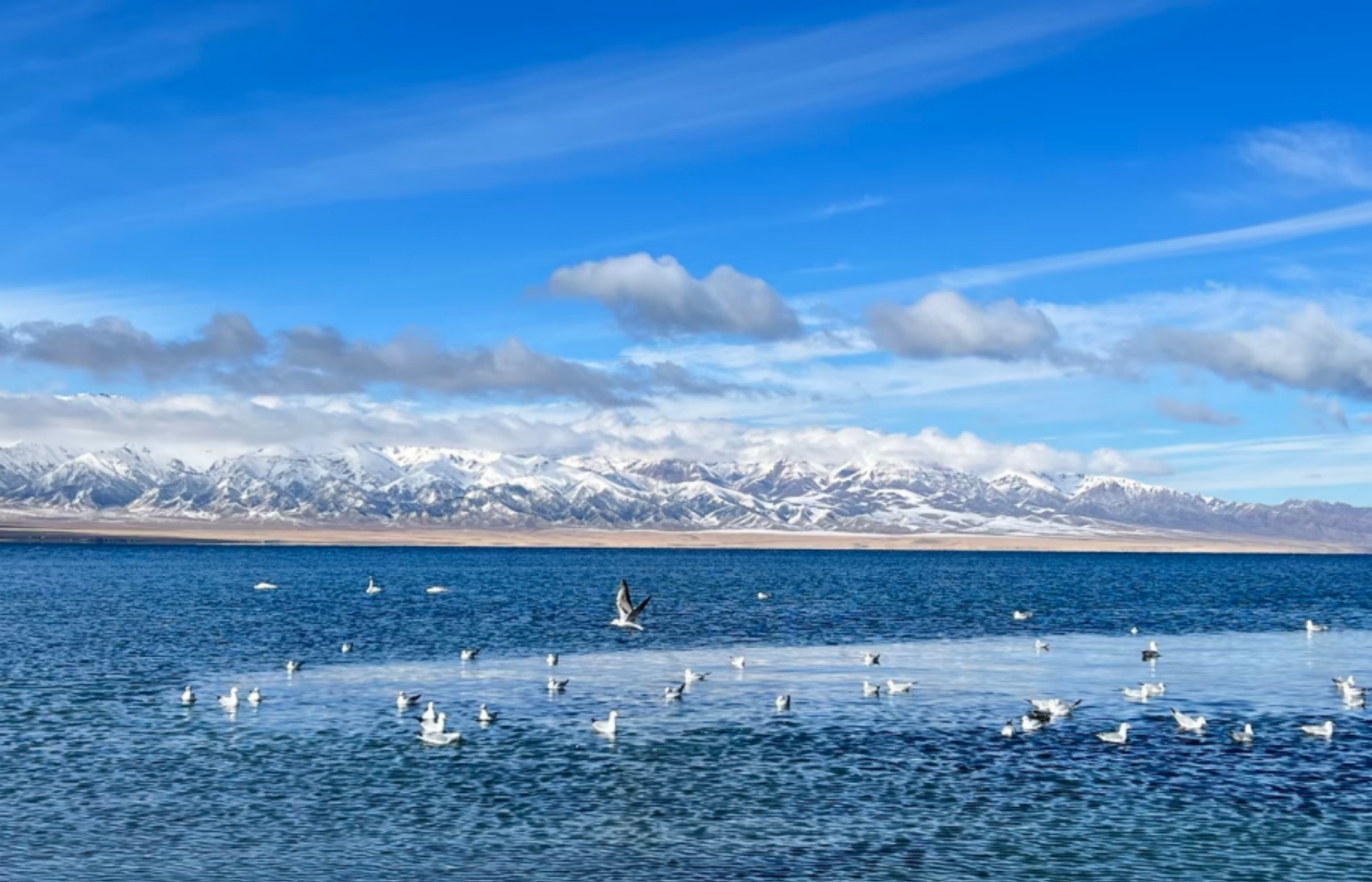 Sayram Lake (The Last Tear of Atlantic)