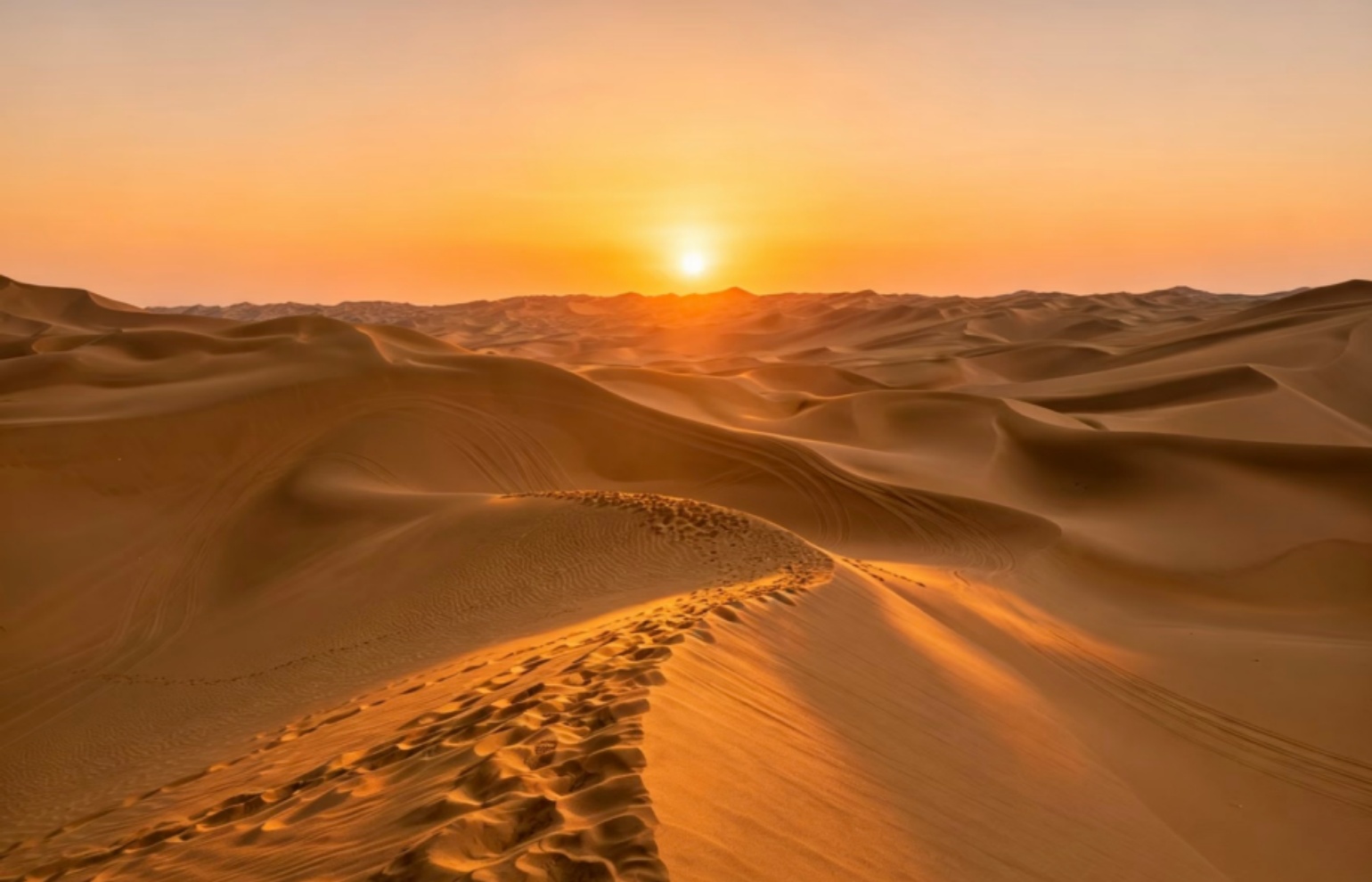 Taklamakan Desert Exploration