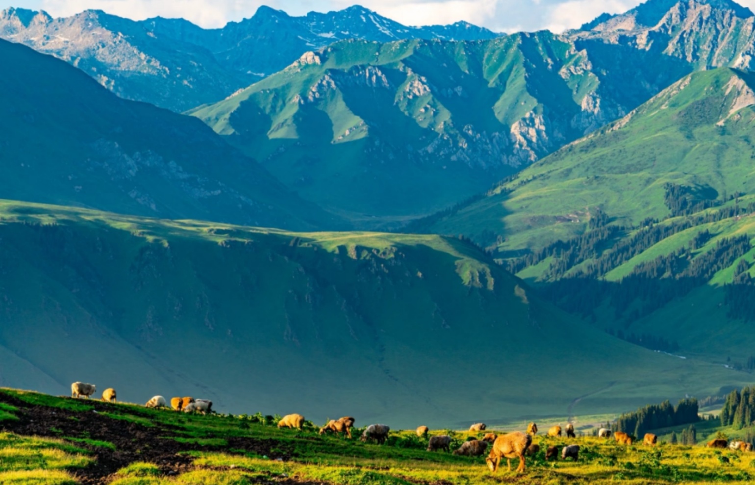 Nalati Grassland (Xinjiang)