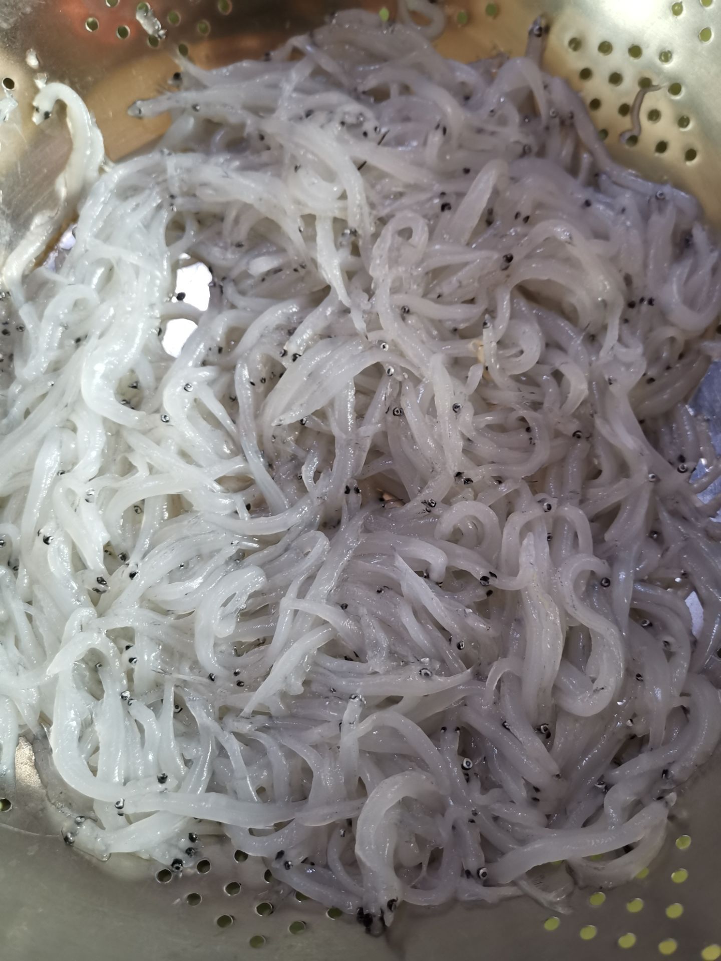 Taihu White Shrimp and Whitebait