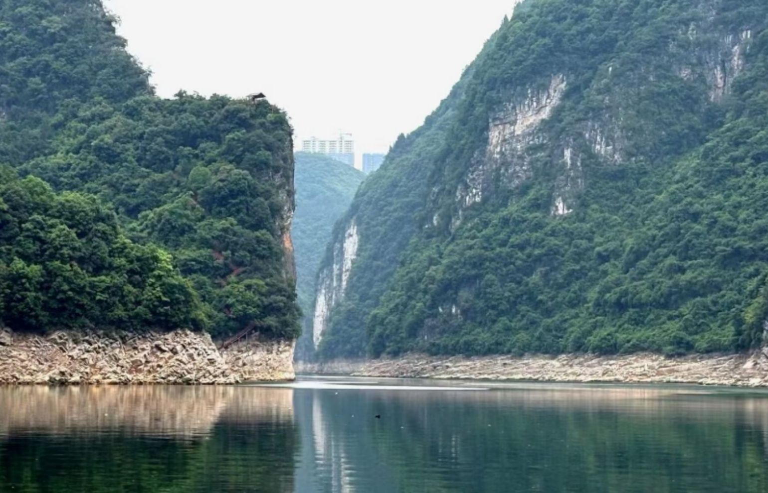 Shennong Stream & Tracker Culture
