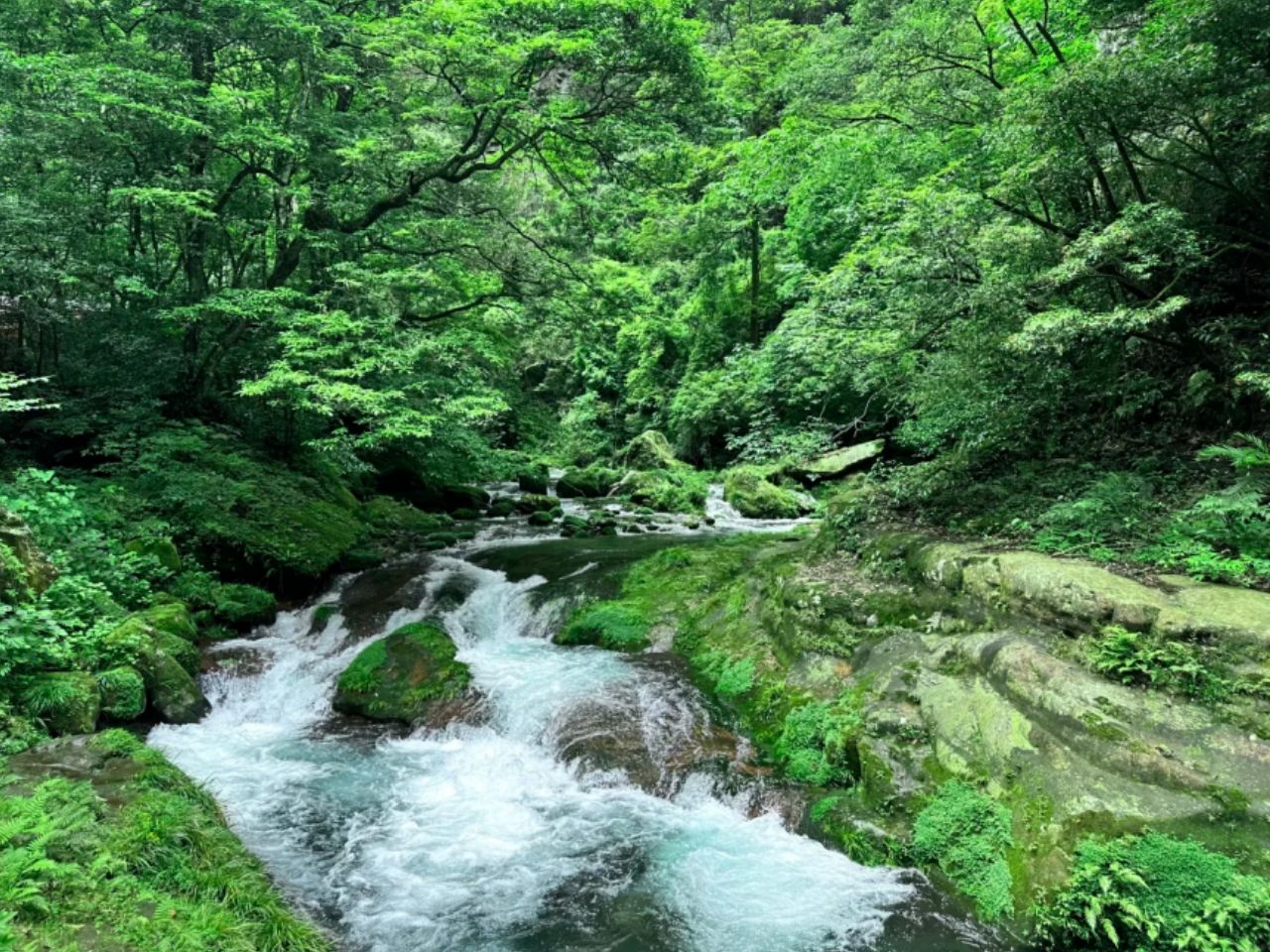 Golden Whip Stream & Huangshi Village