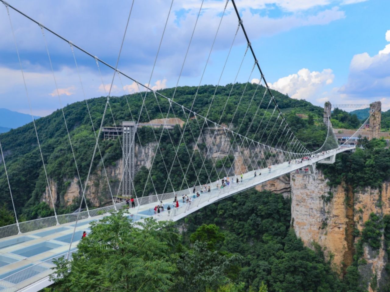 Zhangjiajie Grand Canyon & Glass Bridge